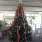 CROSSES CAFE - 店内のクリスマスツリー