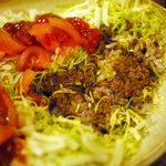 風遊斎 - ヘルシータコライス