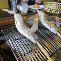 黒茶屋 - 炭火で焼きます