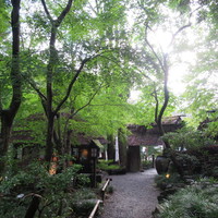 黒茶屋 - 緑が素敵な敷地
