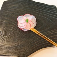 銀座 レストラン オザミ - 