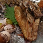 旬魚旬菜まるとび - 