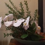 旬魚旬菜まるとび - 