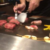 ケヤキ - 