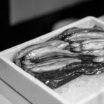 うを徳 - 蝦夷鵡川（えぞむかは）の柳葉魚（しゝはむ）