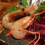 旬酔基じ - ぼたんエビ♬︎