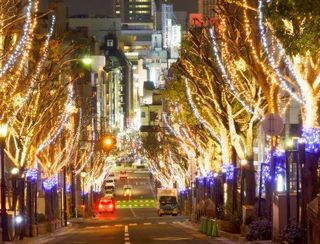 Resutoran Hana No Yakata Paradhi Kitano - クリスマスの北野坂はムードたっぷりです。