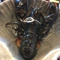 グランド・セントラル・オイスターバー&レストラン 品川店 - 