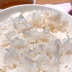 陳建一麻婆豆腐店 - 