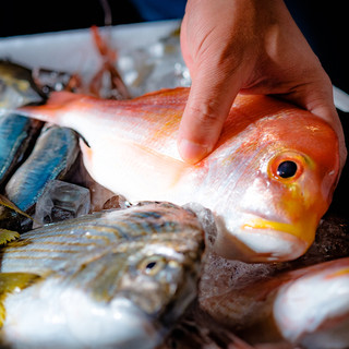 Enjoy the exquisite delicacies of Hokuriku <What is the secret behind the deliciousness of Hokuriku fish>