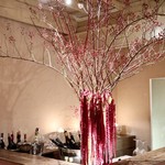 ファイ - シンボルの花