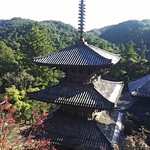 ふく蔵 - 一乗寺三重塔