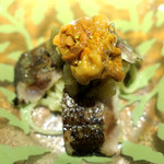 ドディチ・マッジョ - 