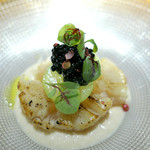 ドディチ・マッジョ - 