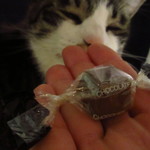 麺屋 海嵐 - レジ前のチョコは貰うw