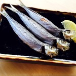 室津產沙丁魚