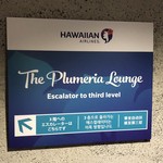 The Plumeria Lounge - The Plumeria Lounge