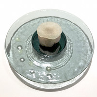リストランテ ソットラルコ - 鮮魚のカルパッチョ