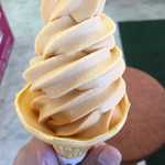 あんずの里のあんずショップ - 