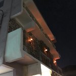 からあげ&弁当 トリとん - 