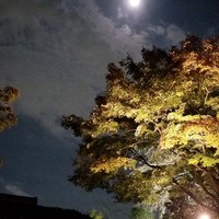 京都 吉兆 嵐山本店 - 
