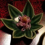 湯主一條 - もってのほか胡麻酢和え　松の実