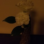 湯主一條 - お花が、飾って有りました