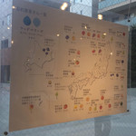 ウッドベリーズ - 