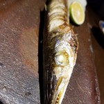 女とみそ汁 - 魳の塩焼き