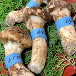 四季のあじわい 松籟亭 - 