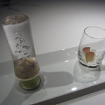 レフェルヴェソンス - アミューズブッシュ