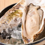 raw oysters