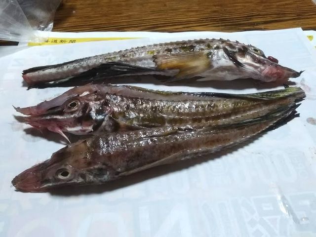 宗八 八角 ぼたん海老 By えんぼう 魚の北辰 丸井今井札幌店 大通 その他 食べログ 宗八 八角 ぼたん海老 By えんぼう 魚の北辰 丸井今井札幌店 大通 その他 食べログ