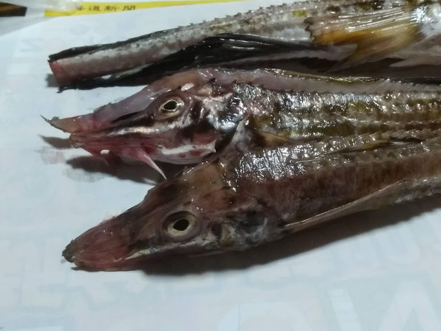 宗八 八角 ぼたん海老 By えんぼう 魚の北辰 丸井今井札幌店 大通 その他 食べログ 宗八 八角 ぼたん海老 By えんぼう 魚の北辰 丸井今井札幌店 大通 その他 食べログ