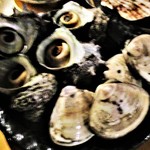 心人 - さざえ と 蛤。　　　　　2018.10.20