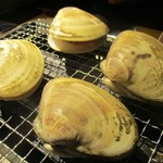 心人 - 蛤。　　　　　2018.10.20