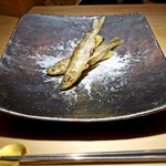 銀座 盡 - 本シシャモのオス