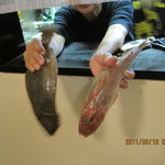 居酒屋　うりずん - どちらにしますか・・とママさん