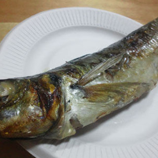 寿し一品食道楽とよ_2