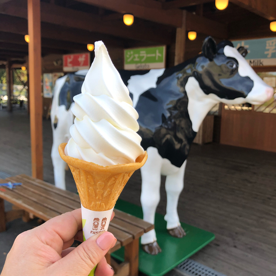 小岩井農場ソフト牛乳2組セット