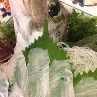 博多料亭 稚加榮 - 