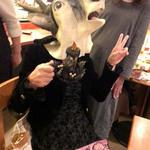 菜鶏 - やっしー鹿になる