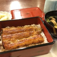 割烹 蒲焼 大沼 - 