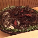 緒方 - もじゃもじゃのとこに