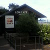 LONCAFE 江ノ島本店