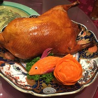 Szechwan Cuisine & Wine 四川料理 御馥 中之島ダイビル店 - 