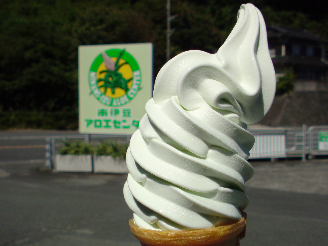 南伊豆アロエセンター name=