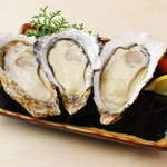 Raw oysters from Murotsu