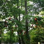 Mori no Naka no Choushoku to Cafe no Mise Cabot Cove