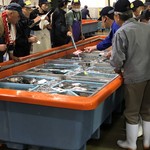 日比野市場鮮魚浜焼きセンター